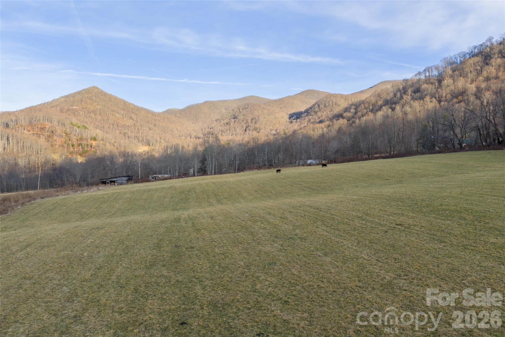 00 Poplar Cove Road - Photo 14