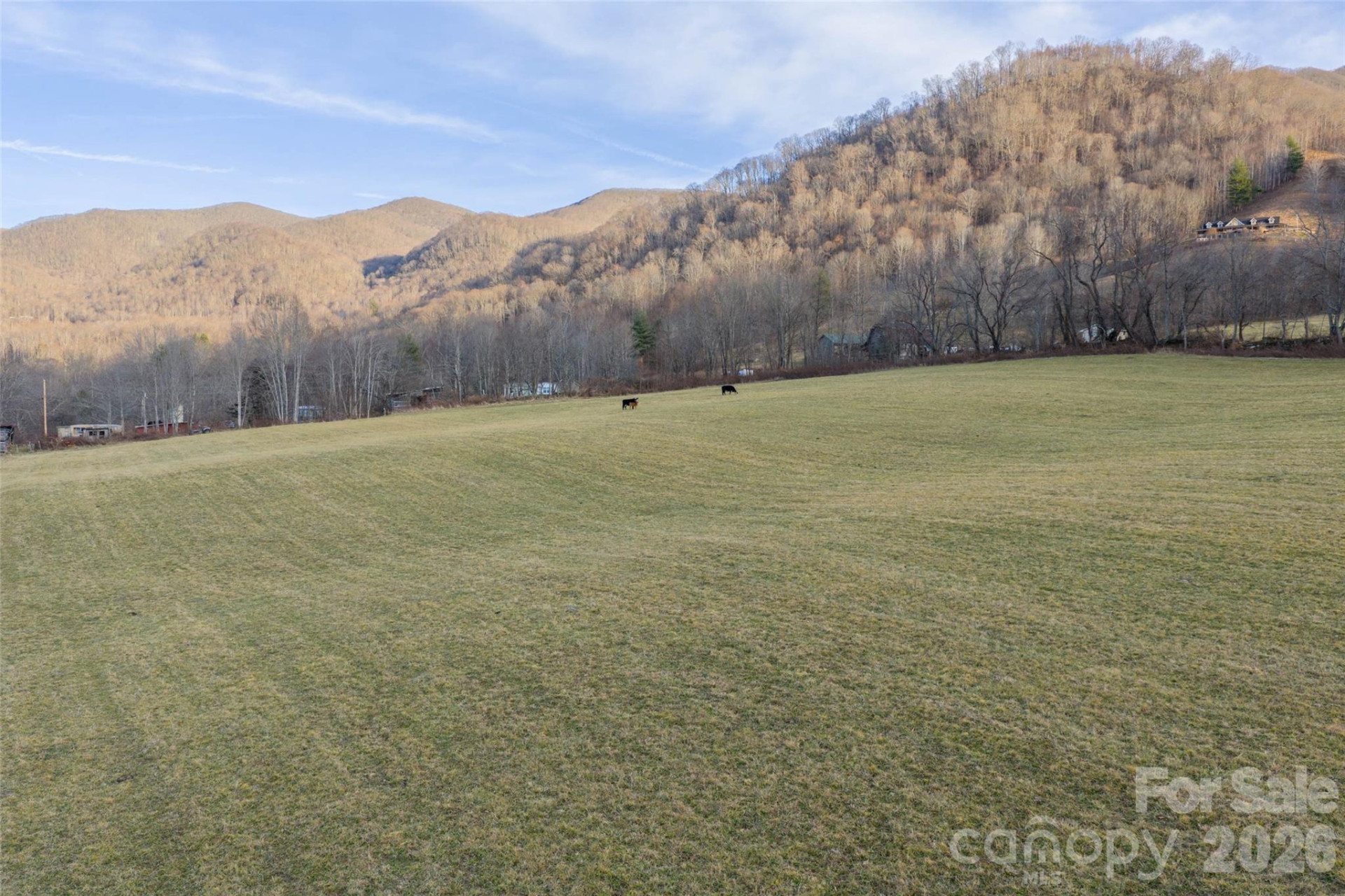 00 Poplar Cove Road - Photo 15