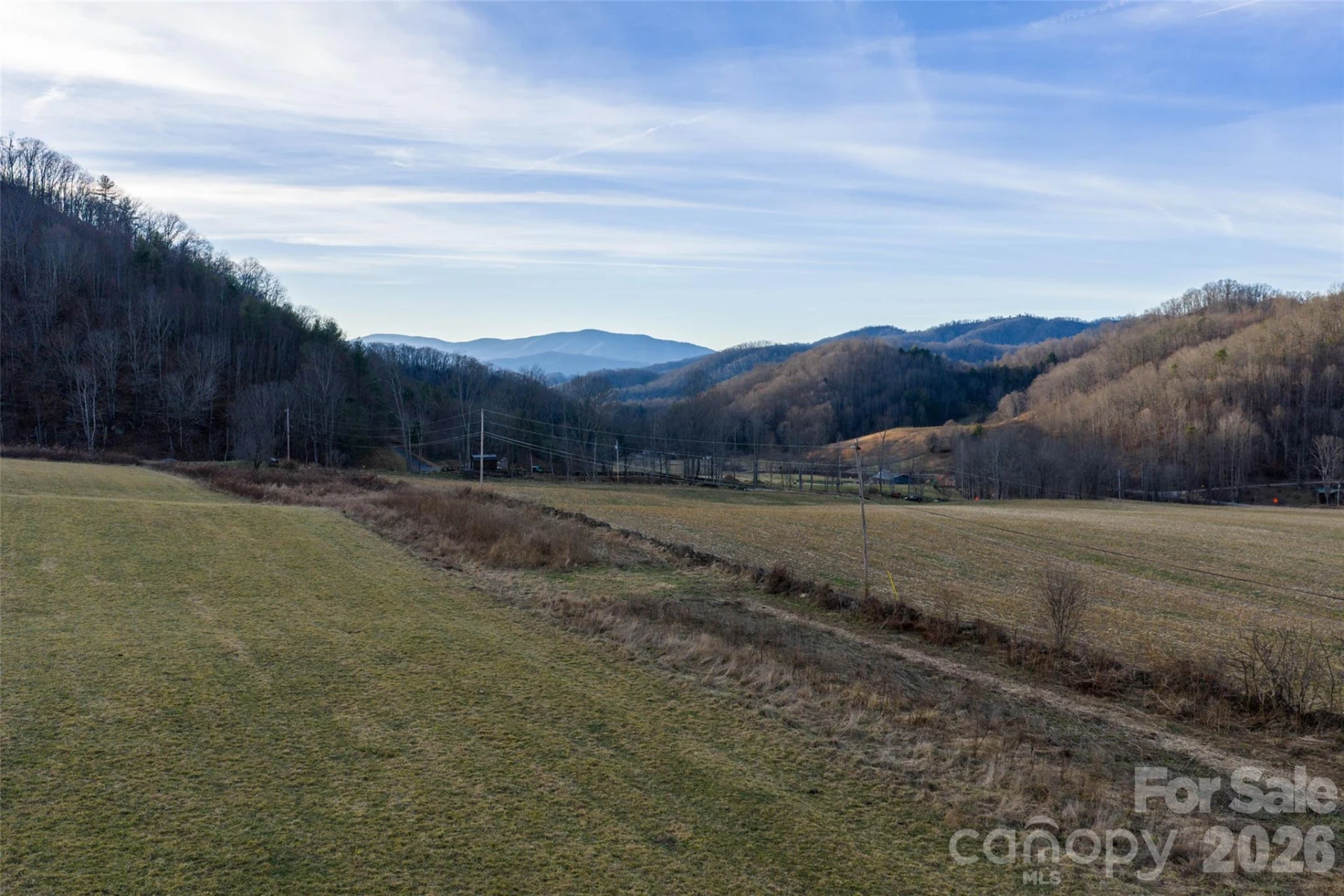 00 Poplar Cove Road - Photo 5