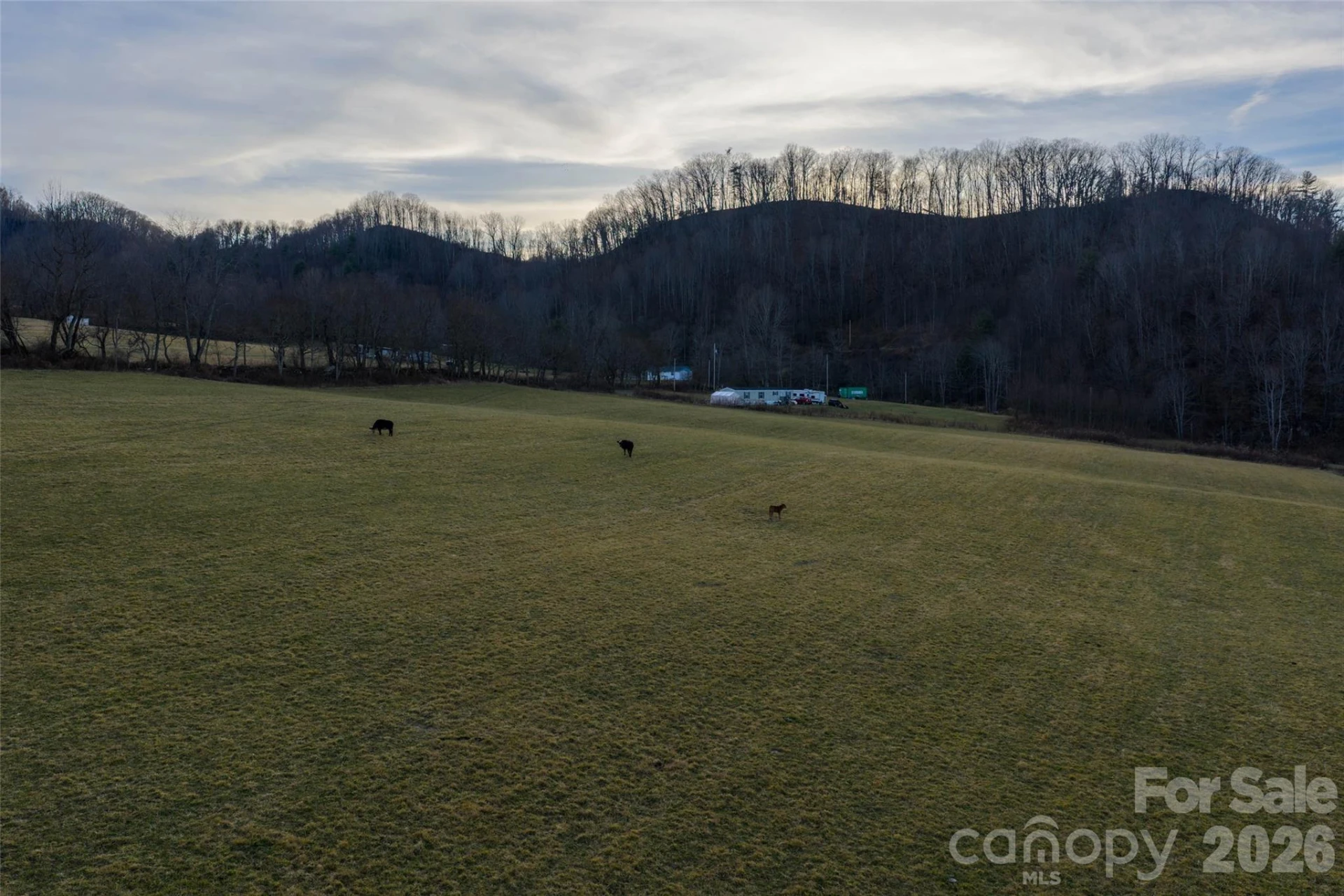 00 Poplar Cove Road - Photo 6