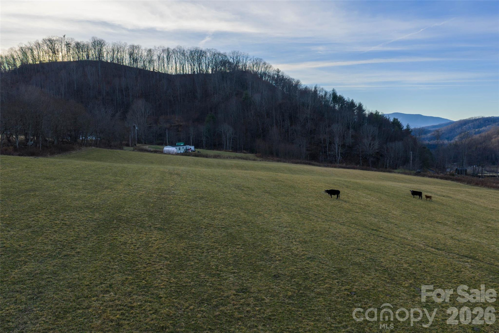 00 Poplar Cove Road - Photo 9