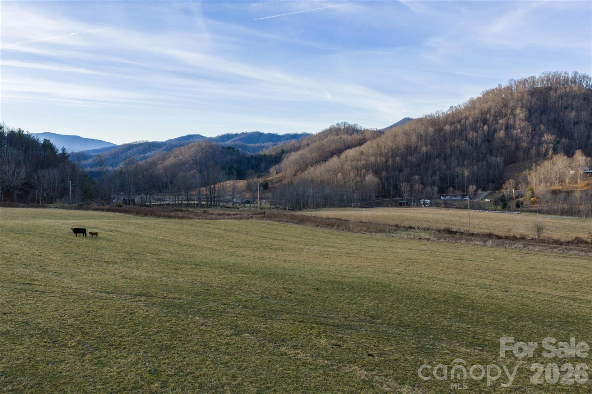 00 Poplar Cove Road - Photo 10