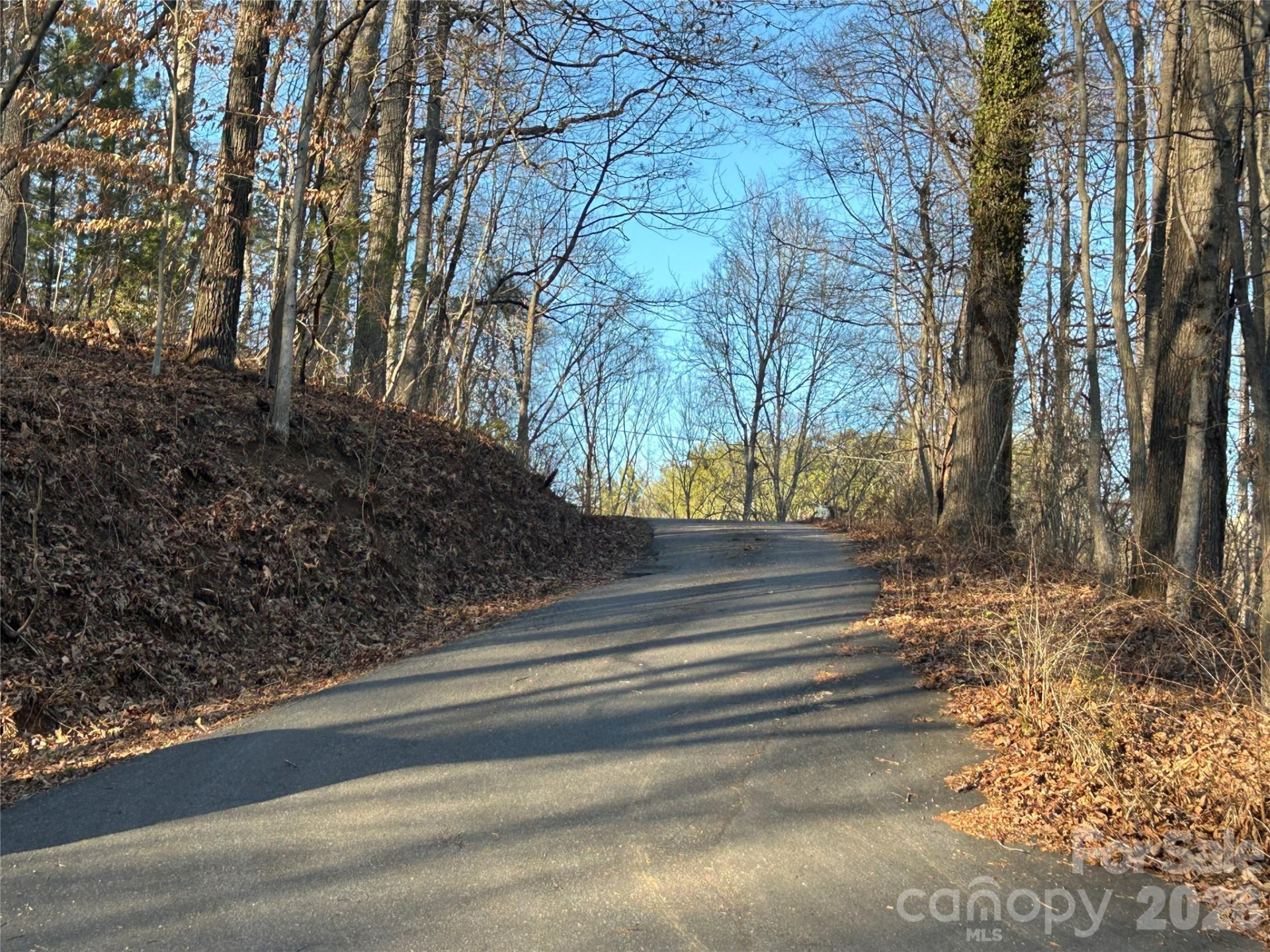 99999 Hickory Tree Road - Photo 11