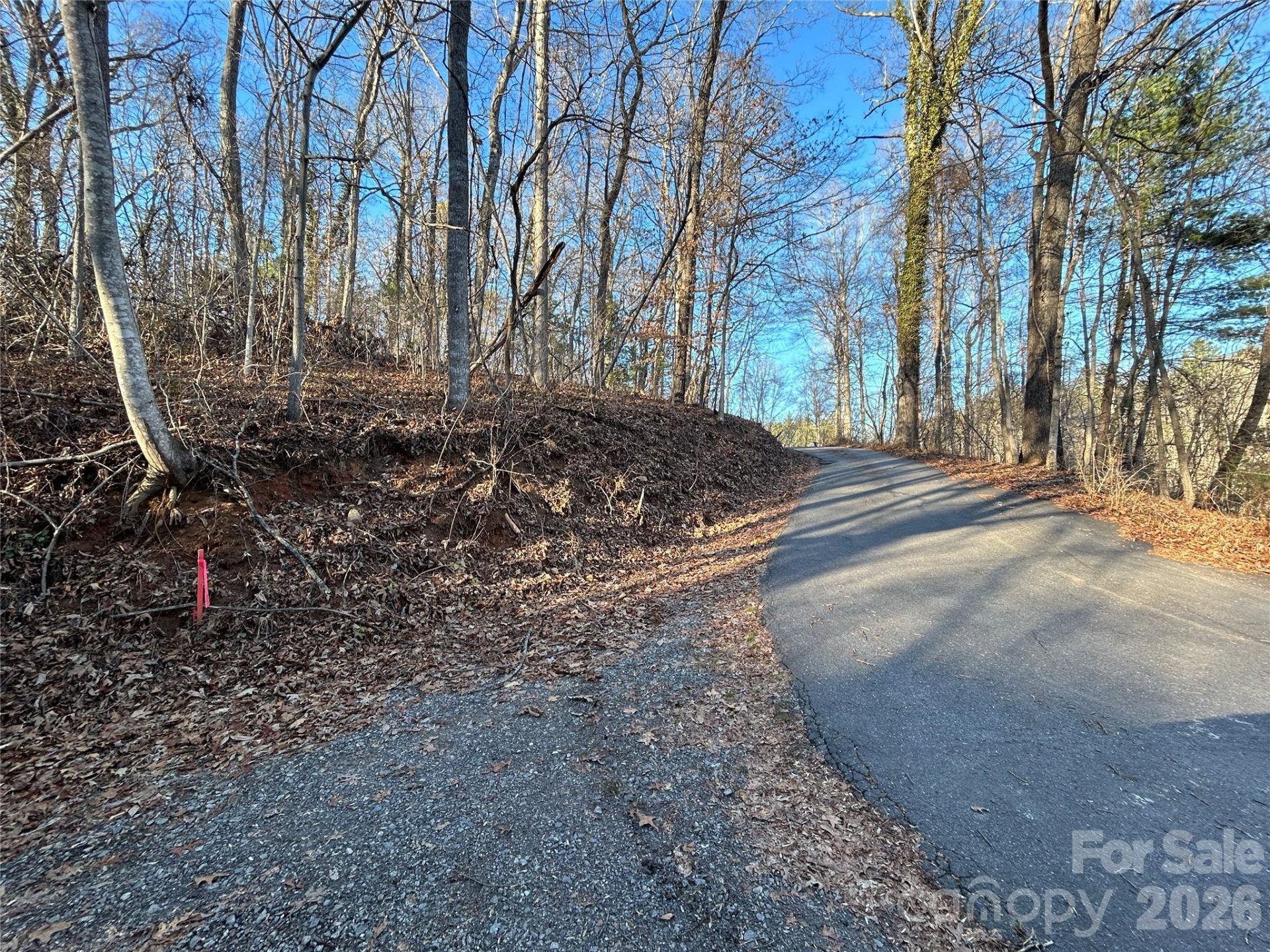 99999 Hickory Tree Road - Photo 12