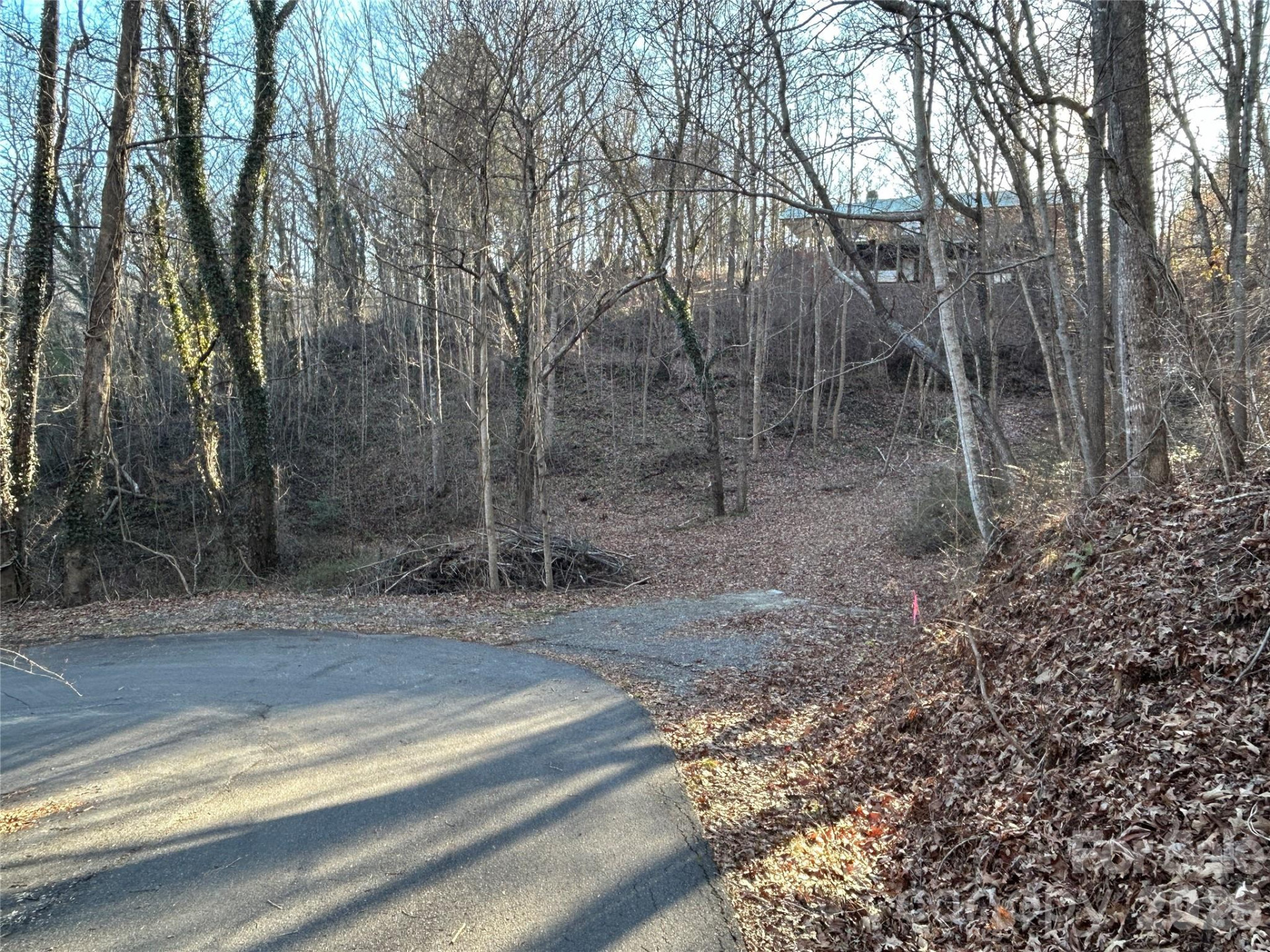 99999 Hickory Tree Road - Photo 4