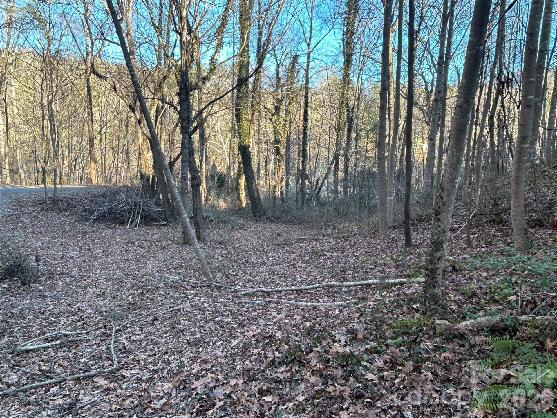 99999 Hickory Tree Road - Photo 5