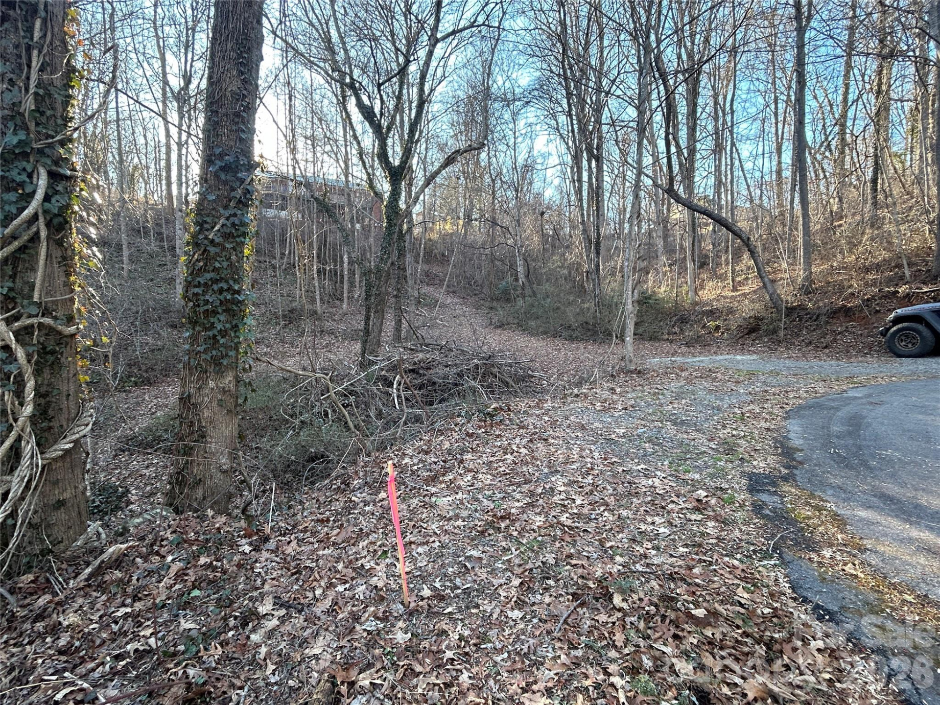 99999 Hickory Tree Road - Photo 6