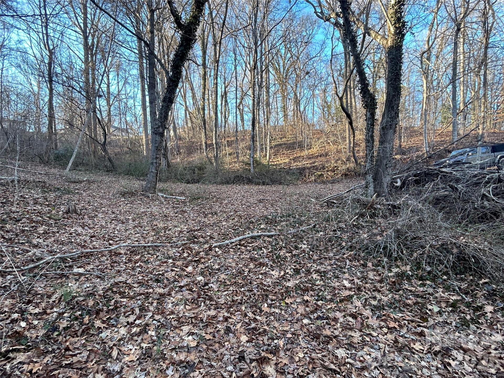 99999 Hickory Tree Road - Photo 7