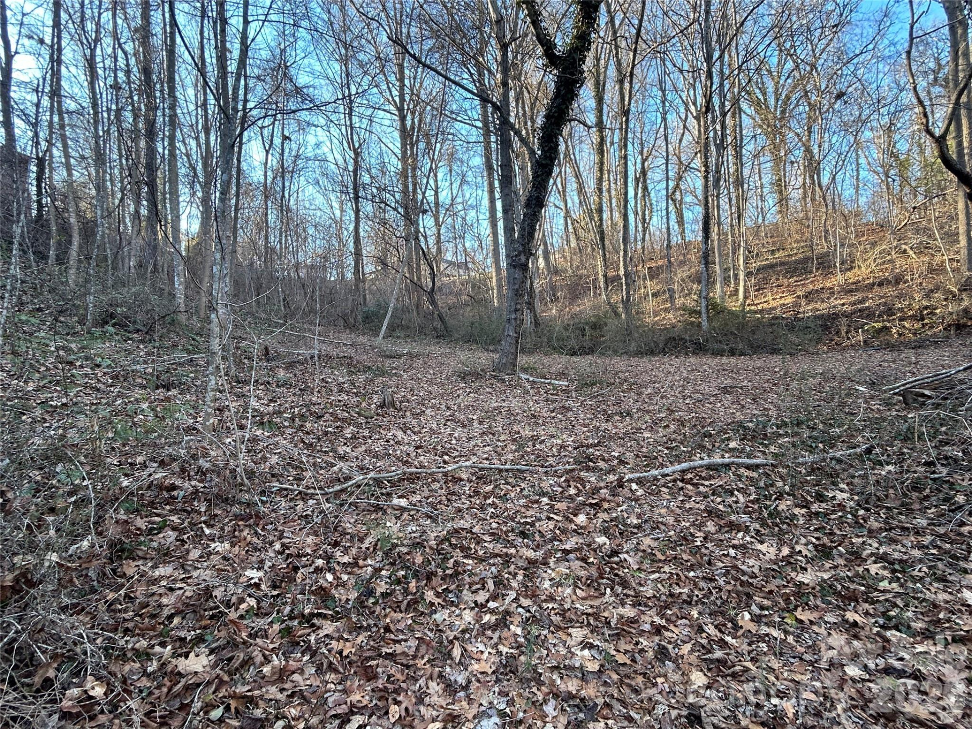 99999 Hickory Tree Road - Photo 8