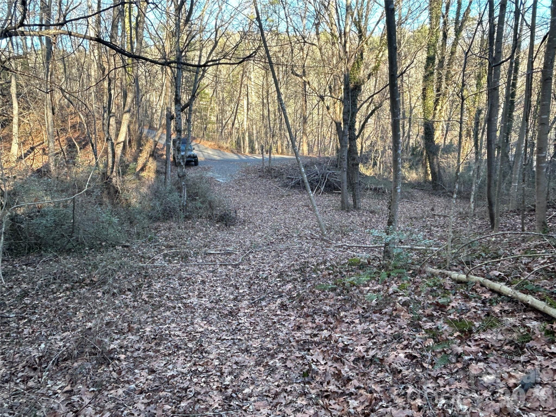 99999 Hickory Tree Road - Photo 9