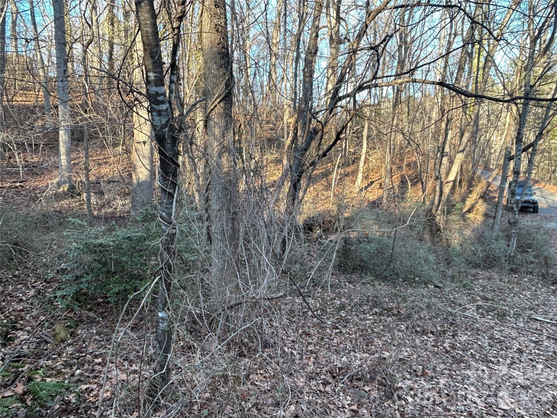 99999 Hickory Tree Road - Photo 10