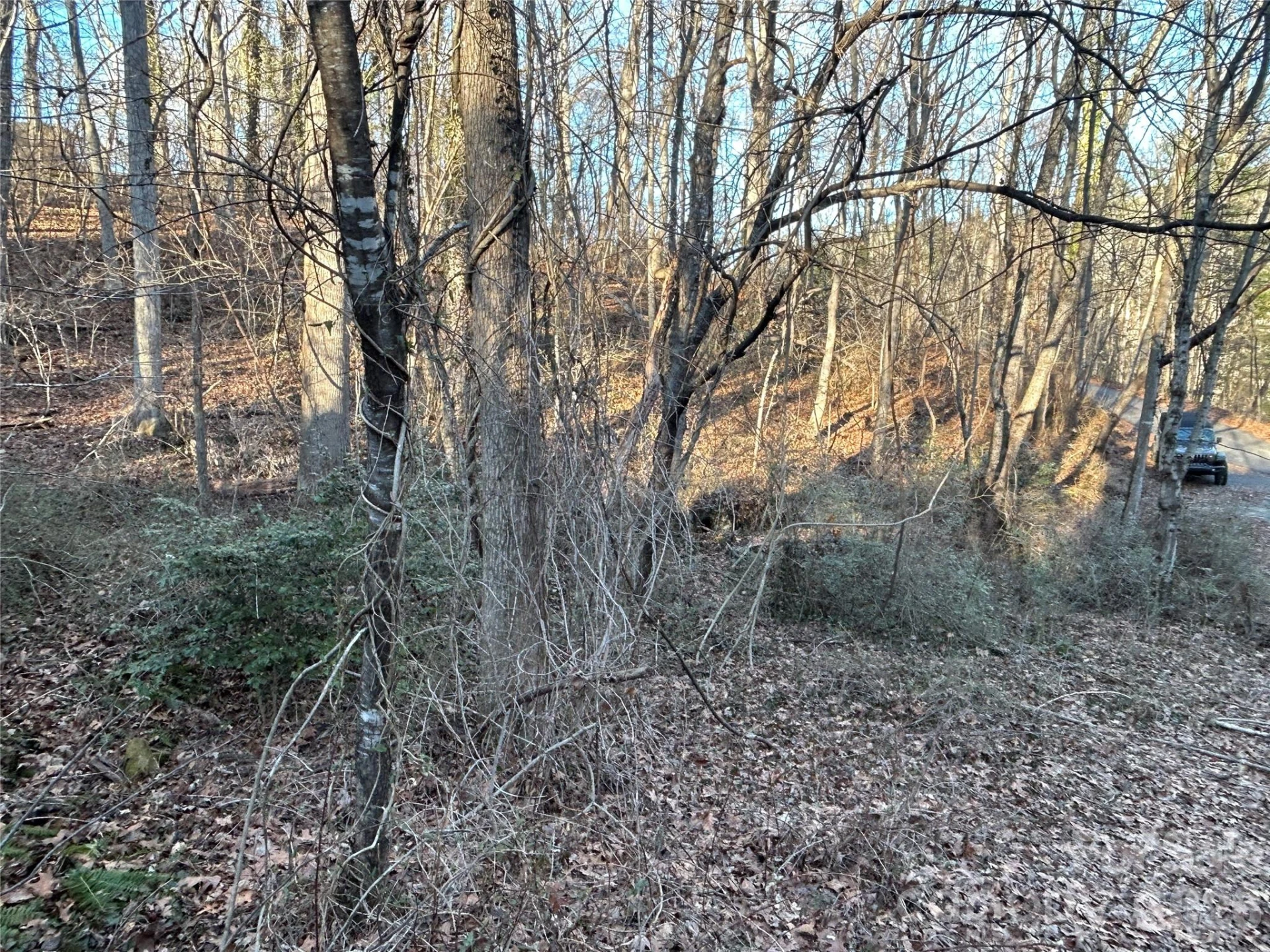 99999 Hickory Tree Road - Photo 10