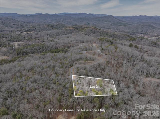 Tract 2 Turtle Ridge Trail, Mills River, NC, 28759