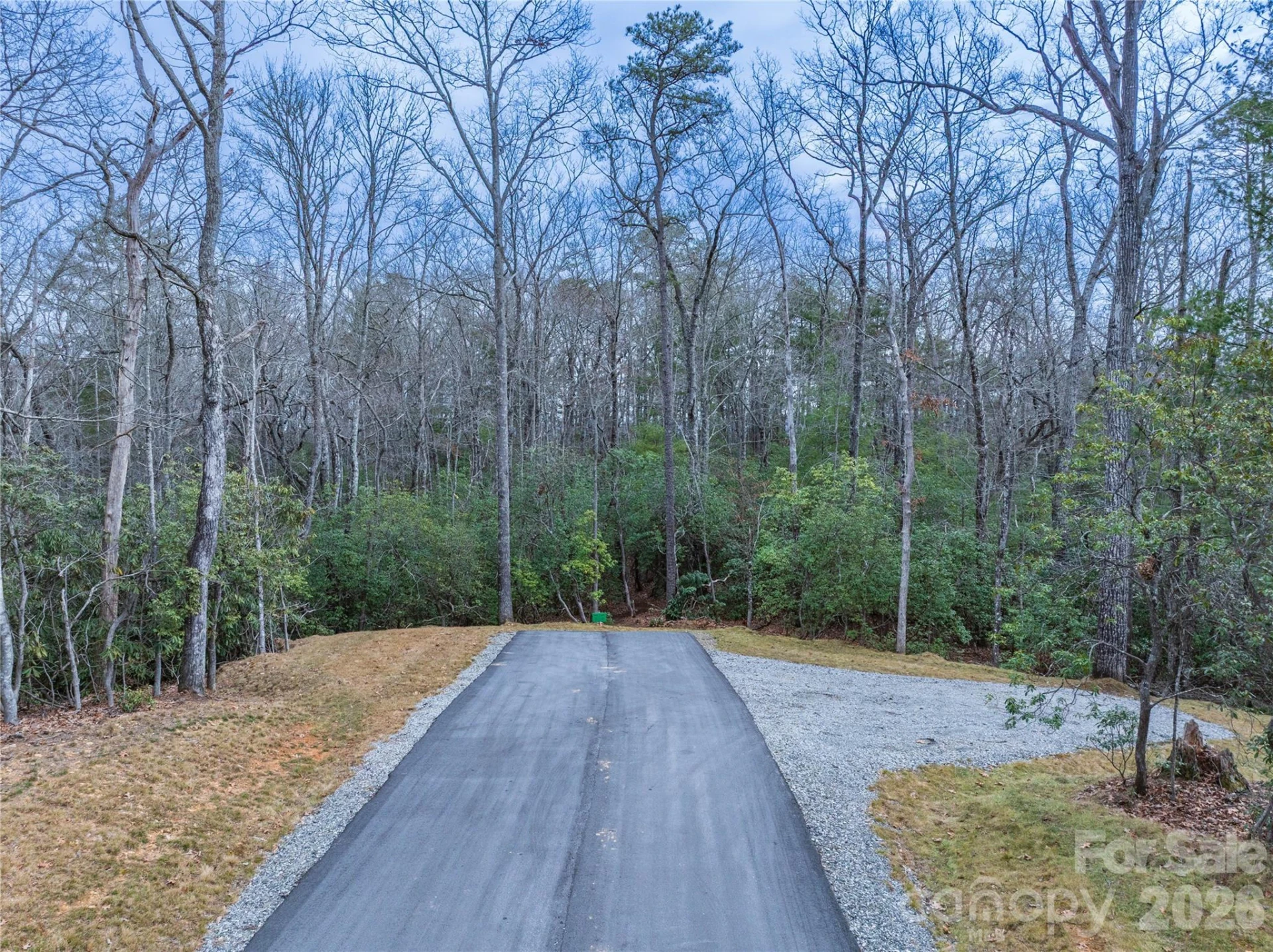 Tract 2 Turtle Ridge Trail - Photo 2