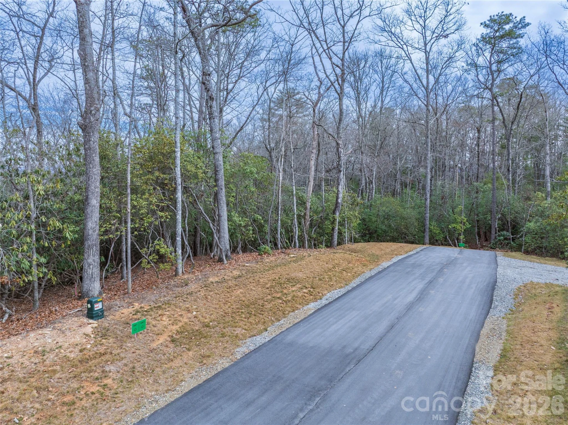 Tract 2 Turtle Ridge Trail - Photo 3