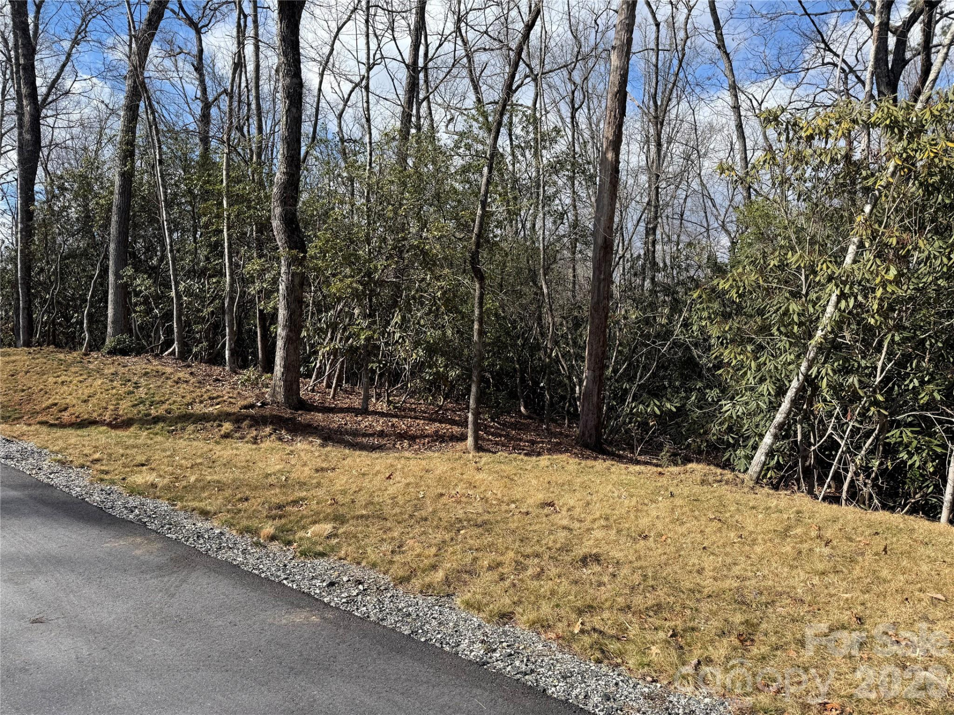 Tract 2 Turtle Ridge Trail - Photo 5