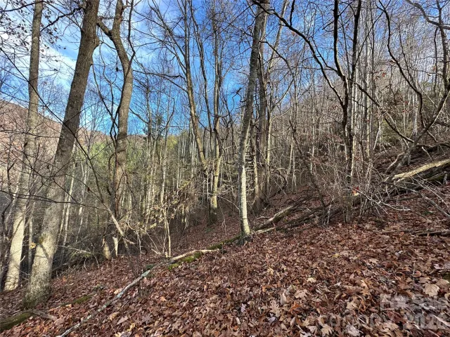 00 Rock House Cove Road, Clyde, NC, 28721