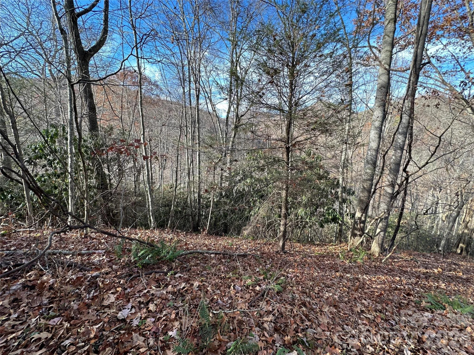 00 Rock House Cove Road #2 - Photo 3