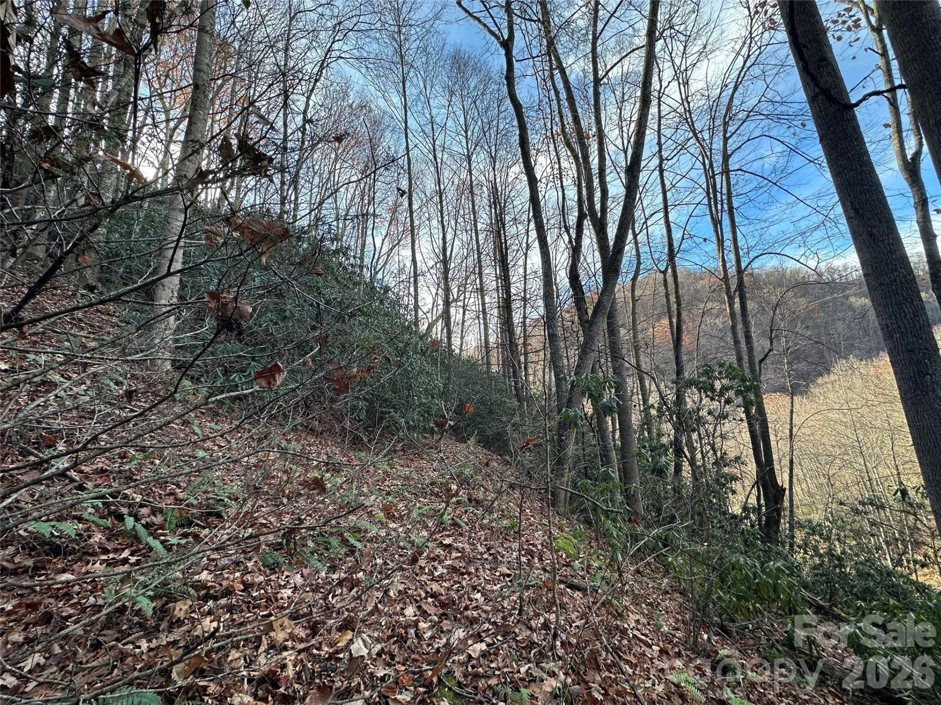 00 Rock House Cove Road #2 - Photo 4