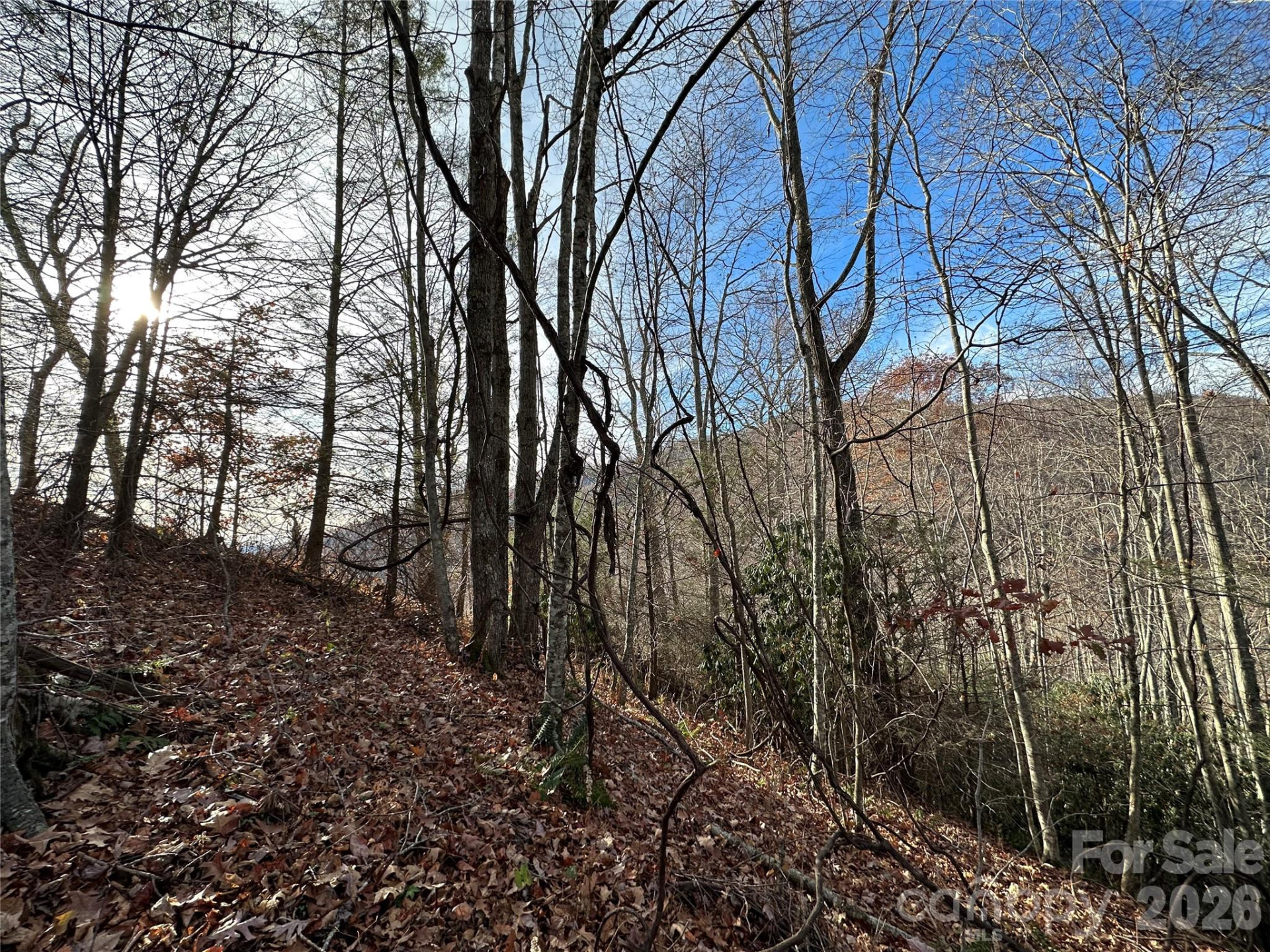 00 Rock House Cove Road #2 - Photo 5