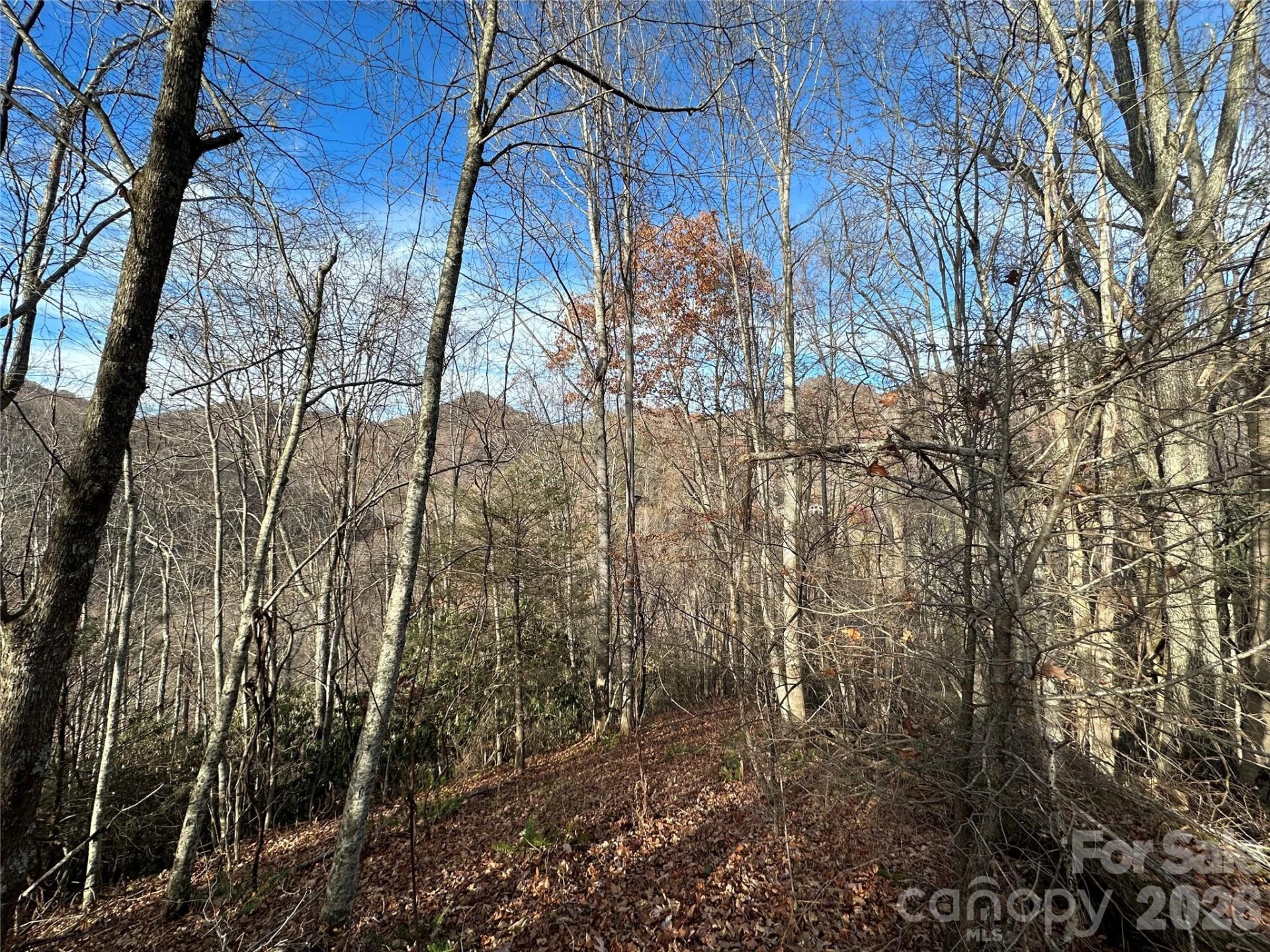 00 Rock House Cove Road #2 - Photo 6
