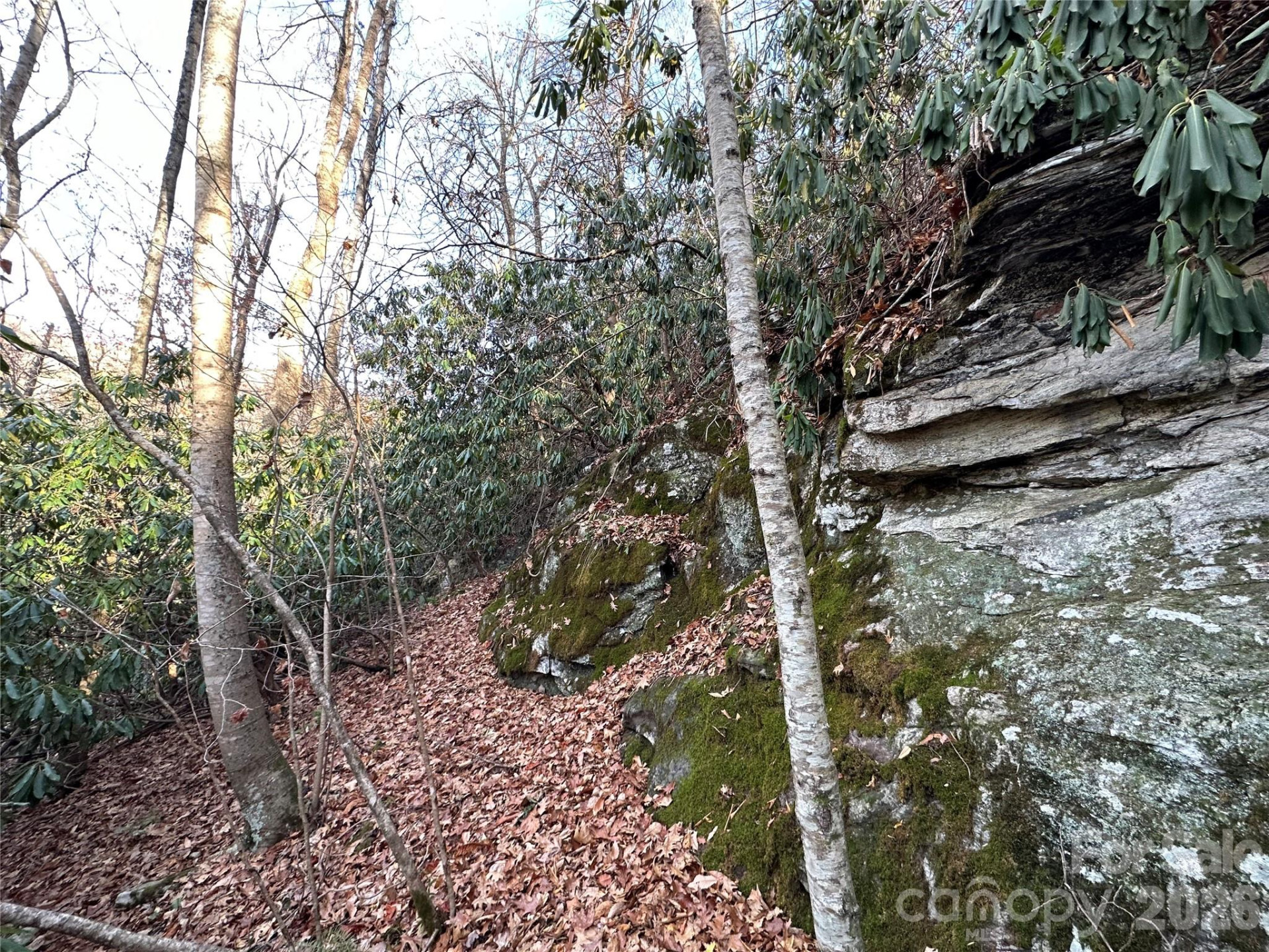 00 Rock House Cove Road #2 - Photo 7