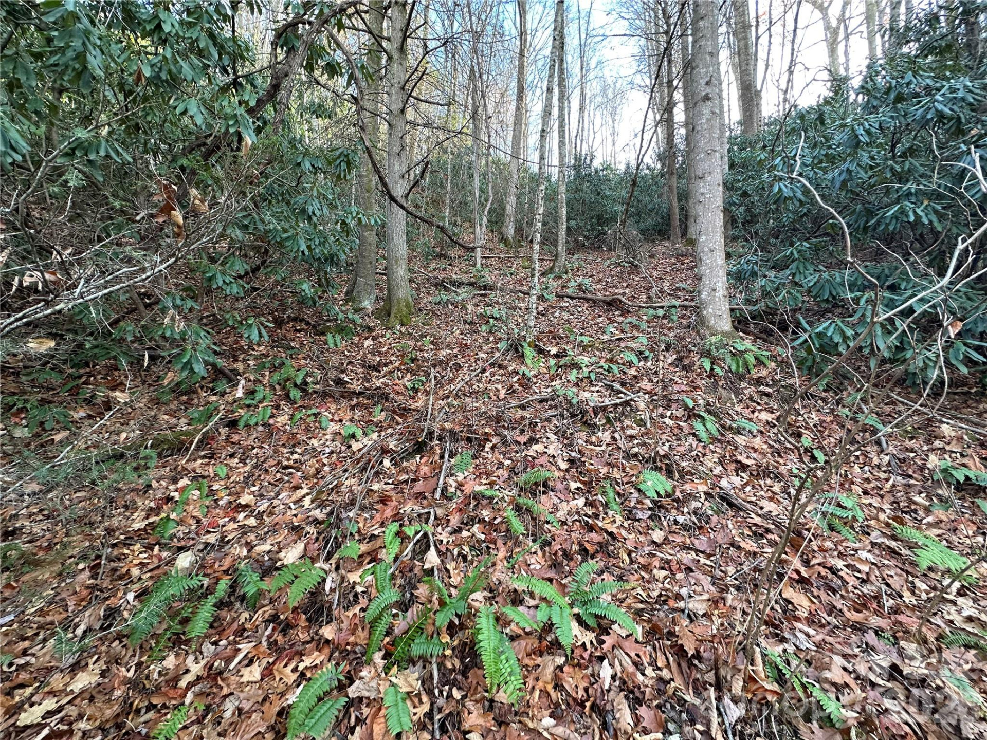 00 Rock House Cove Road #2 - Photo 9