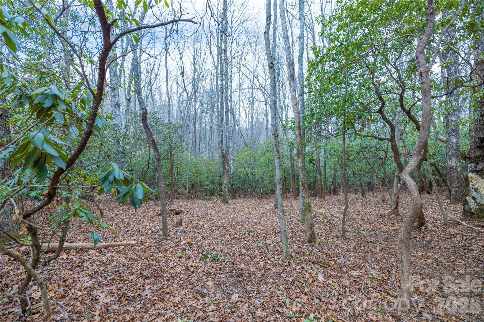 Tract 1 Turtle Ridge Trail