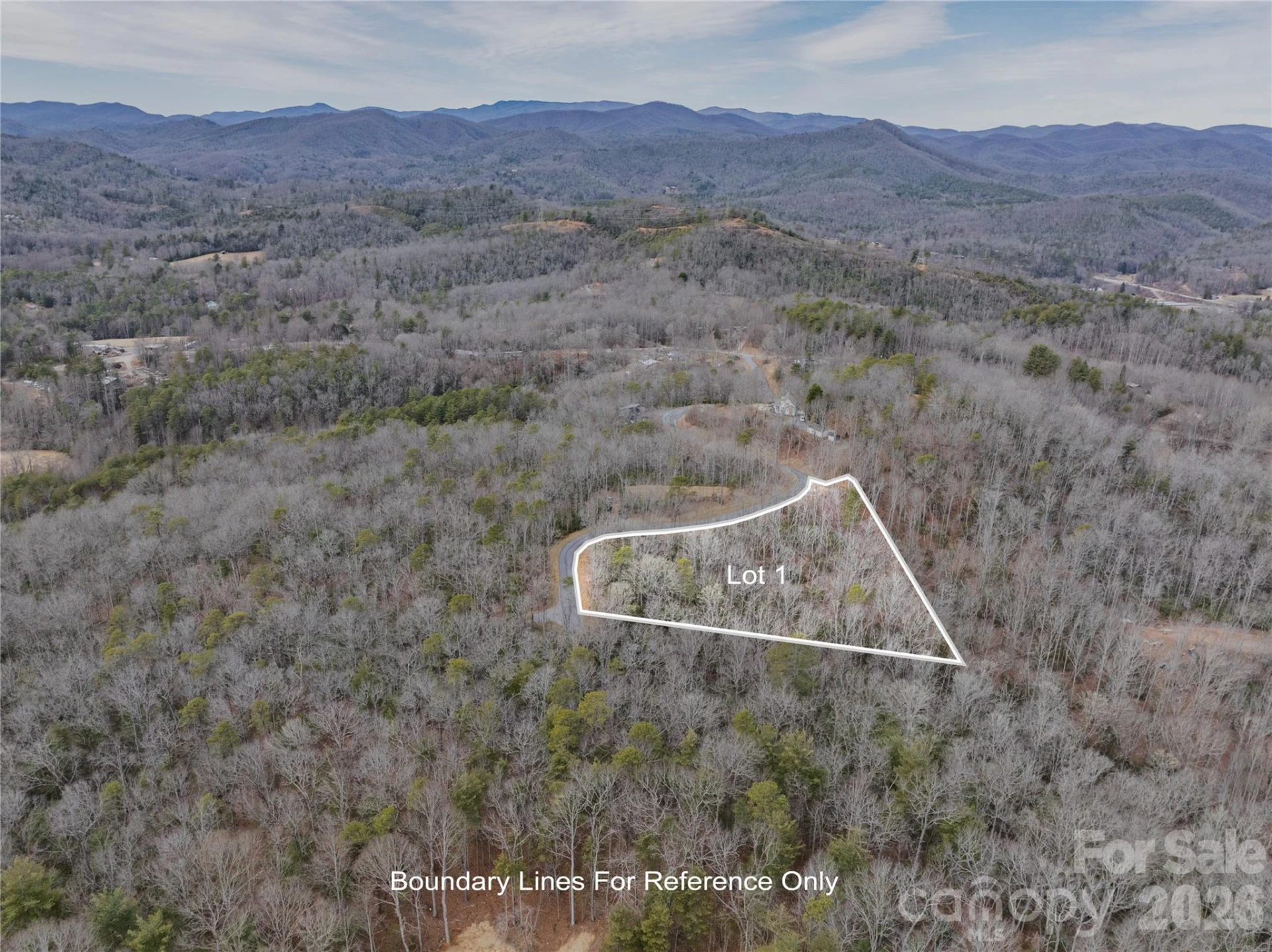Tract 1 Turtle Ridge Trail - Photo 2