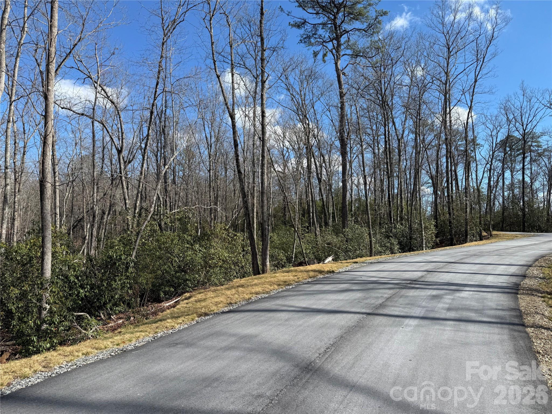 Tract 1 Turtle Ridge Trail - Photo 16