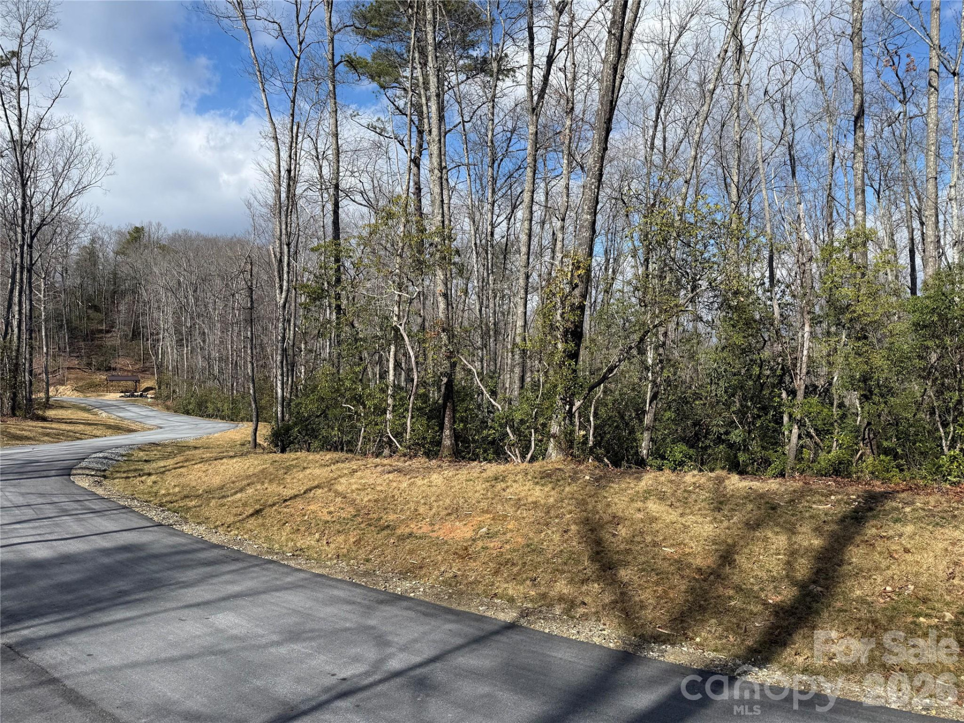 Tract 1 Turtle Ridge Trail - Photo 4