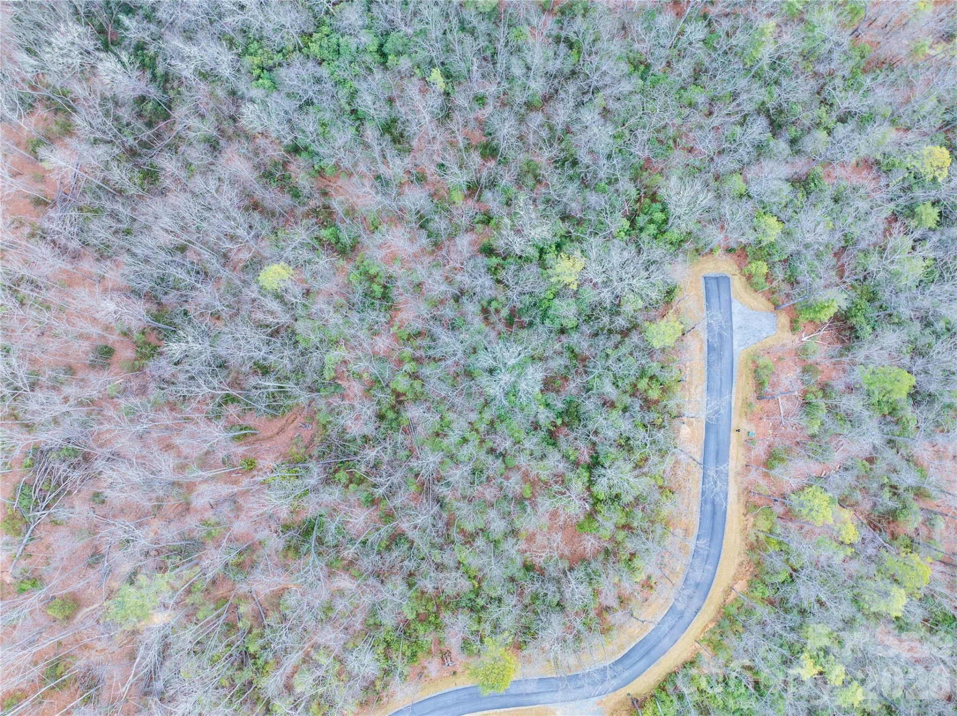 Tract 1 Turtle Ridge Trail - Photo 5