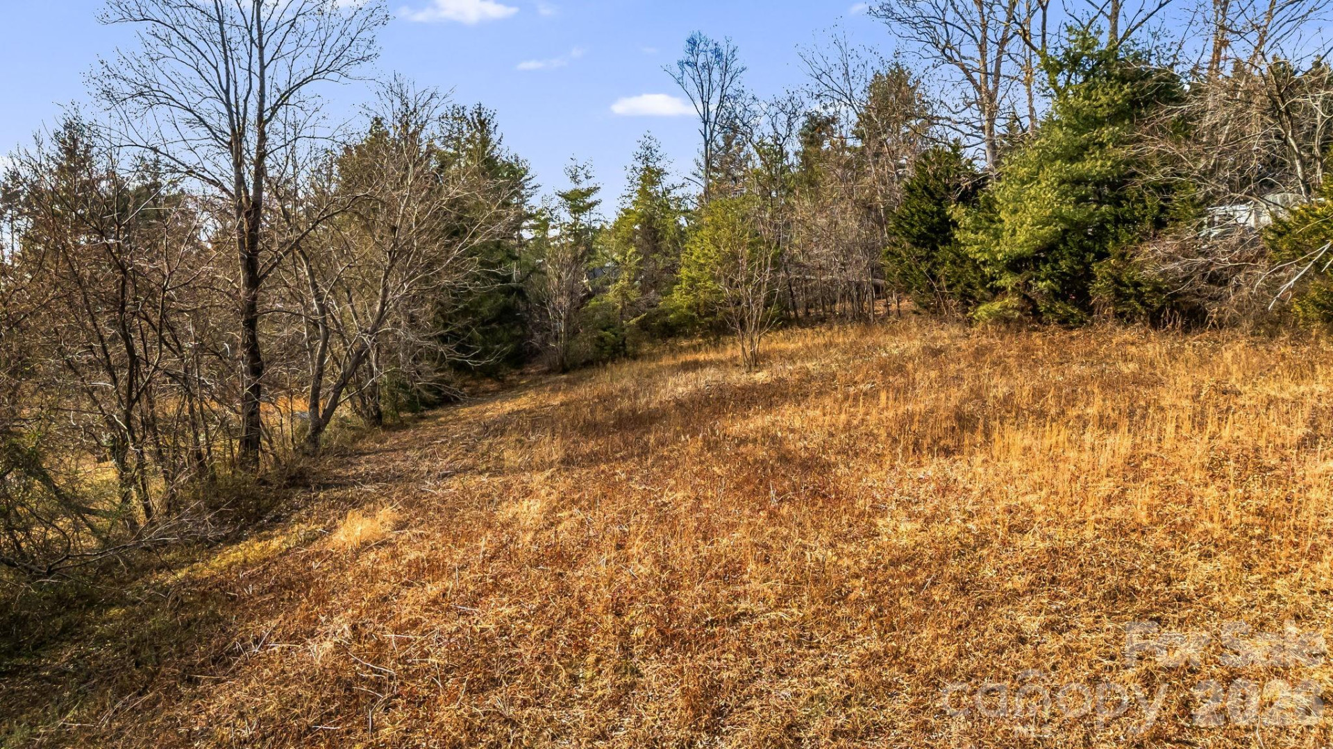 1236 Upper Brush Creek Road - Photo 4