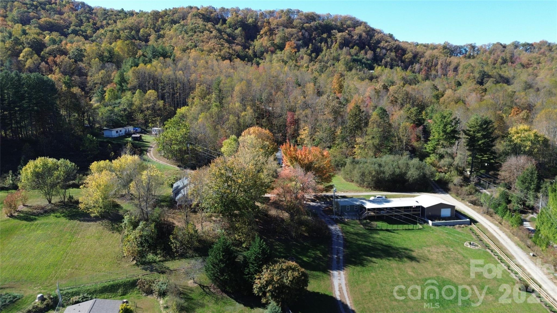 703 Garren Creek Road - Photo 8