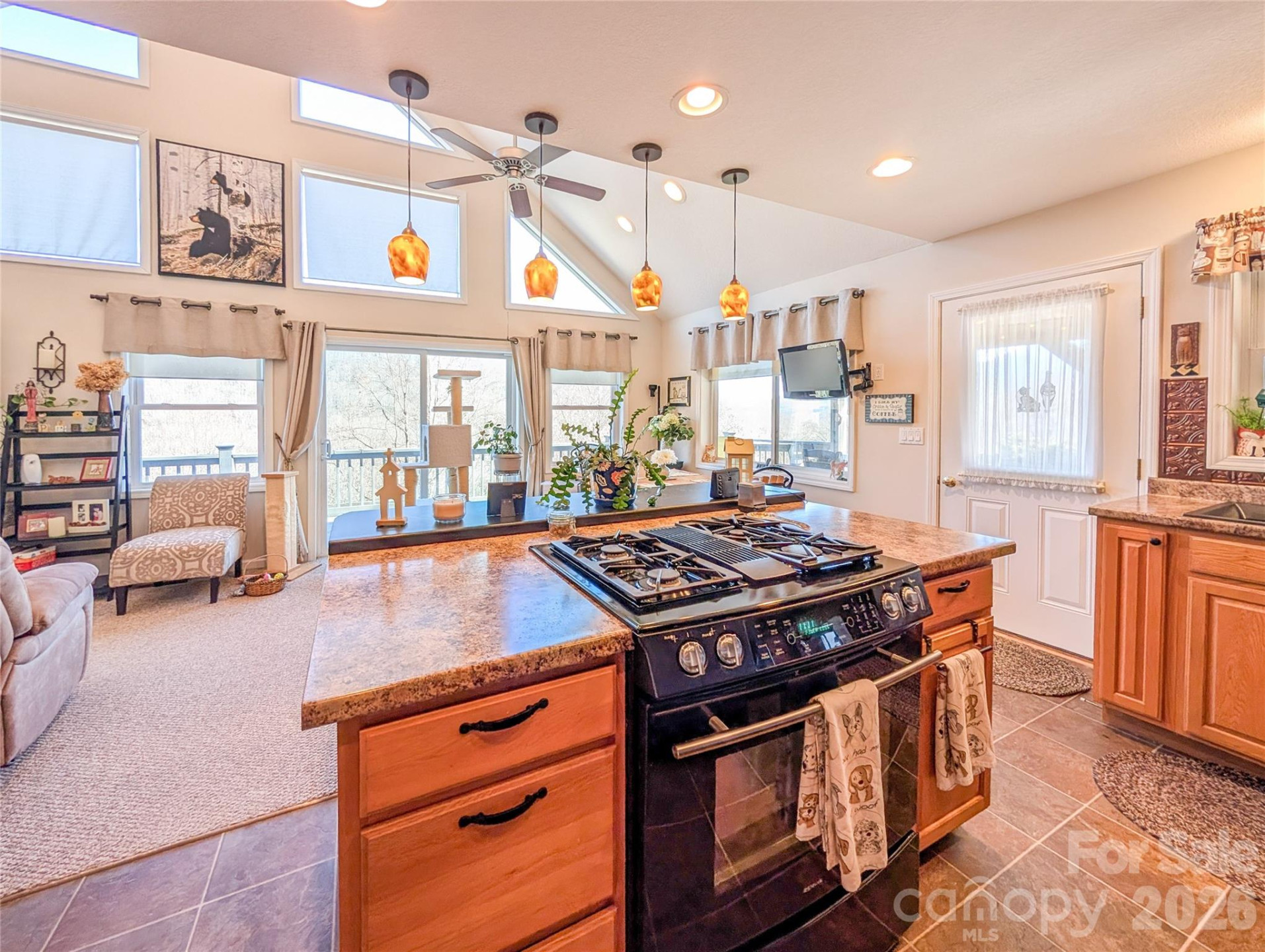 305 Majestic Mountain Drive - Photo 22