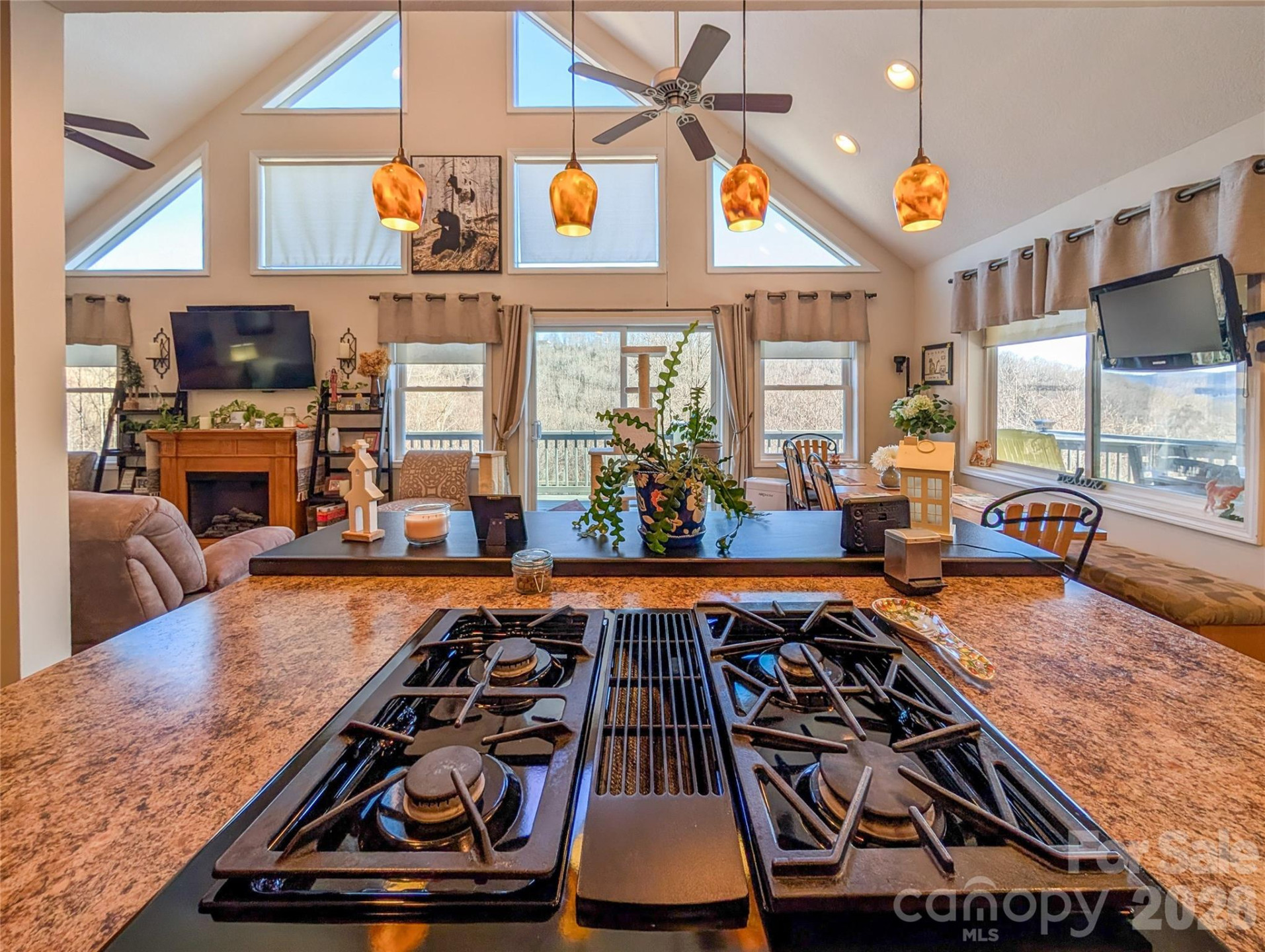 305 Majestic Mountain Drive - Photo 23