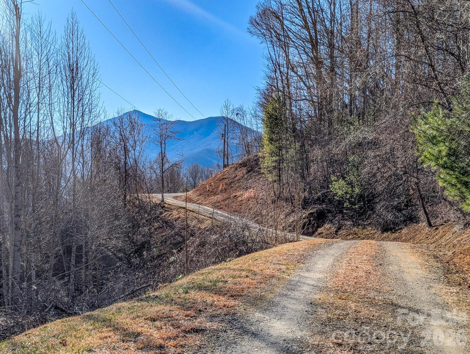 305 Majestic Mountain Drive - Photo 45