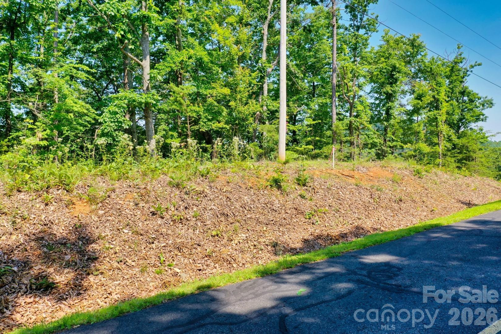 27 Mountain Lookout Drive #27 - Photo 4