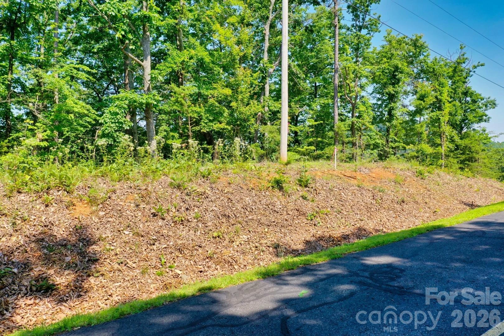 27 Mountain Lookout Drive #27 - Photo 4