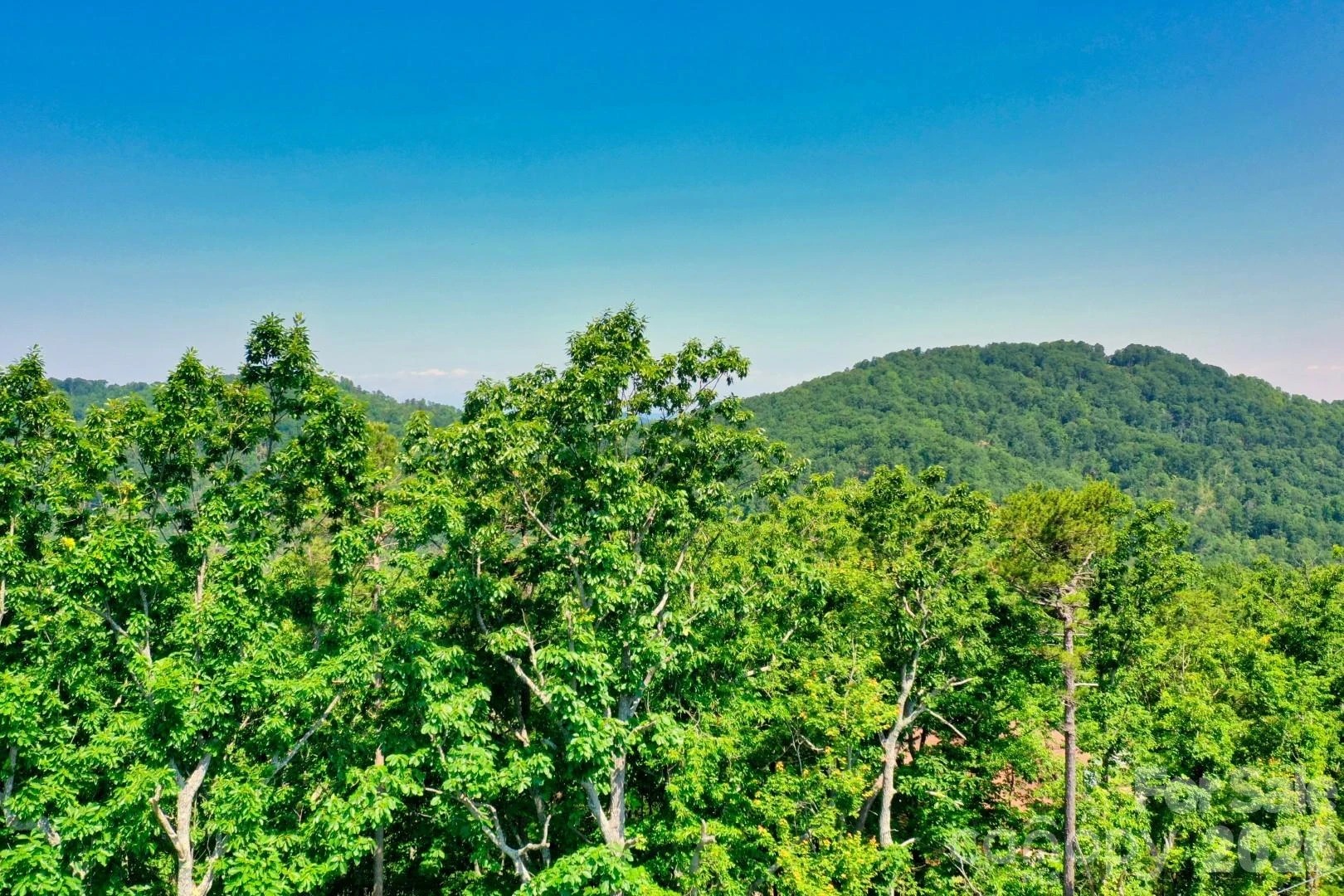 27 Mountain Lookout Drive #27 - Photo 7