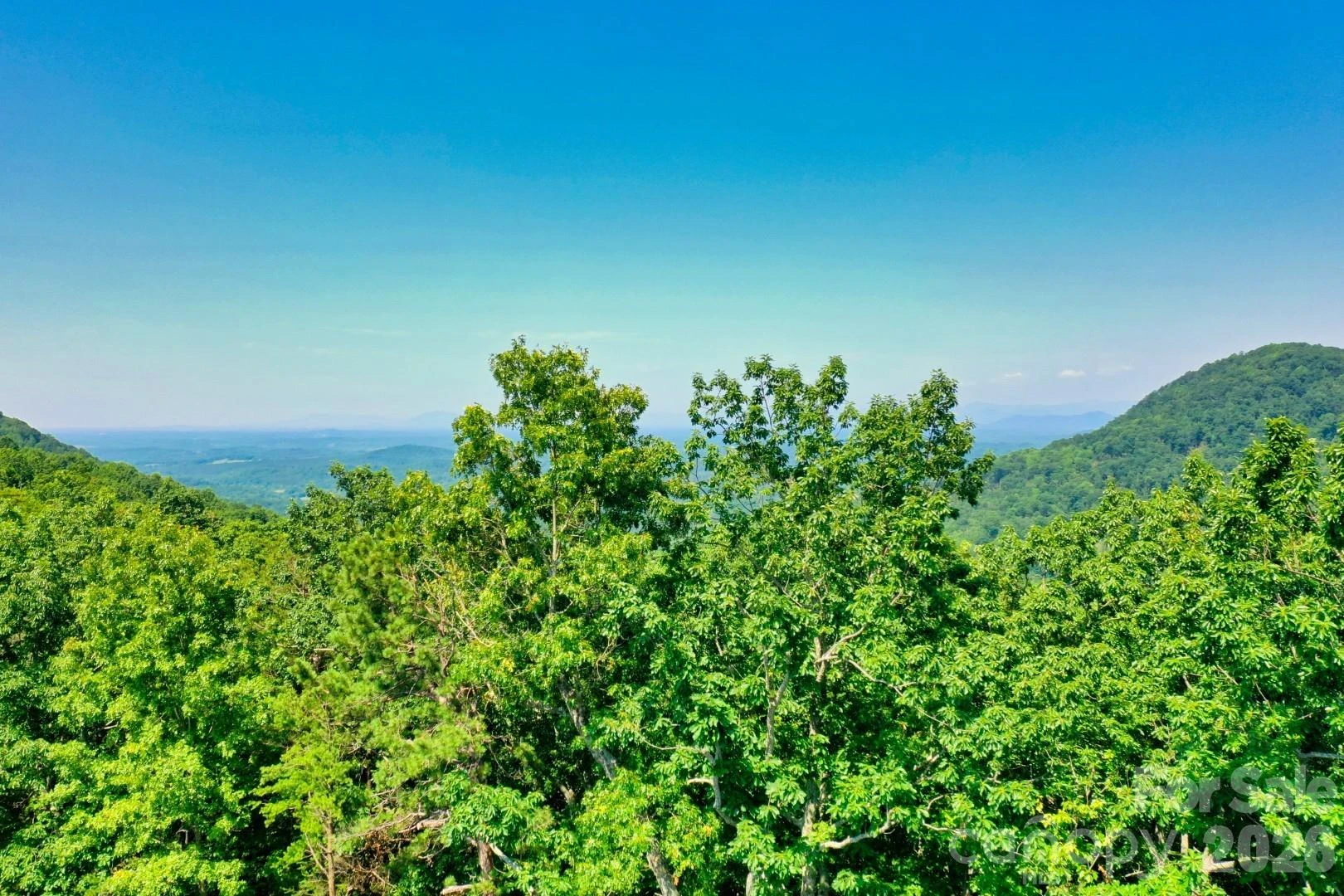 27 Mountain Lookout Drive #27 - Photo 8