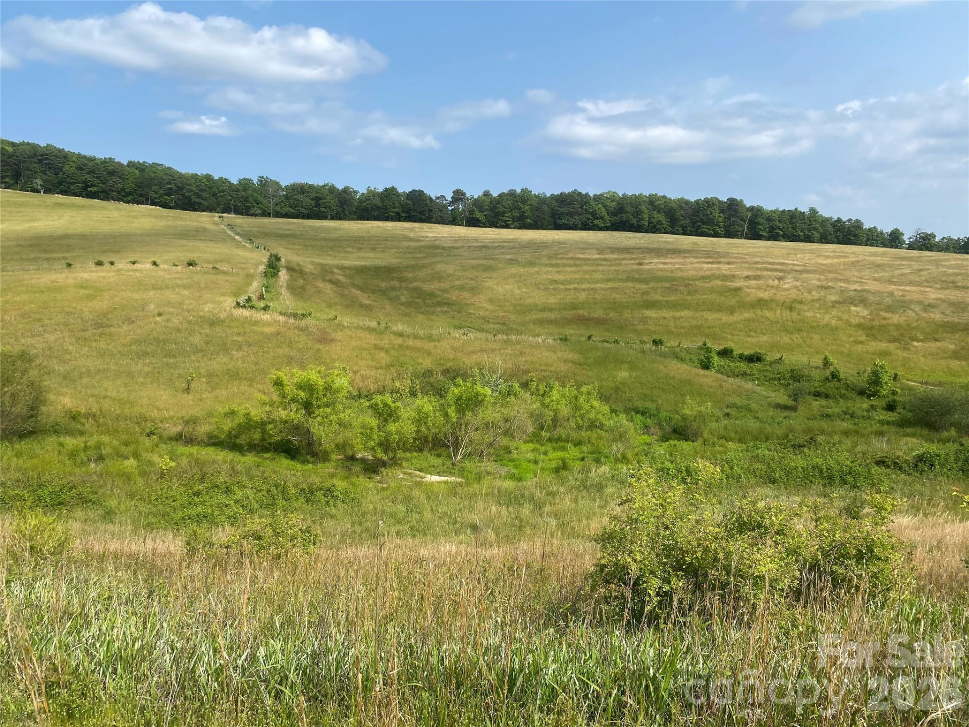 00 Summer Road #20.44 Acres - Photo 2