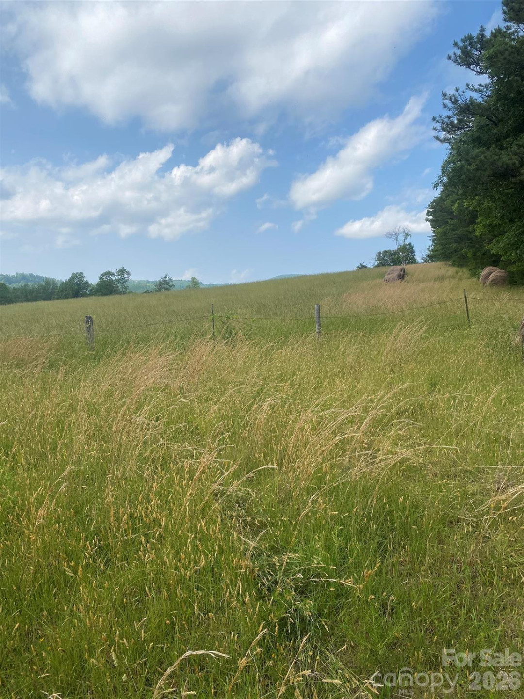 00 Summer Road #20.44 Acres - Photo 11