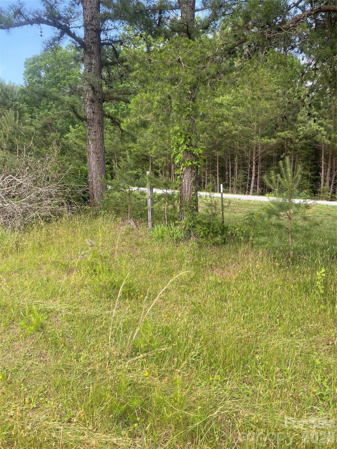 00 Summer Road #20.44 Acres - Photo 12
