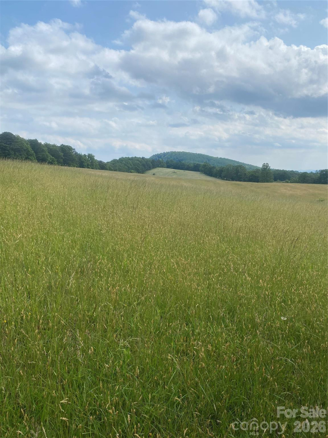 00 Summer Road #20.44 Acres - Photo 13
