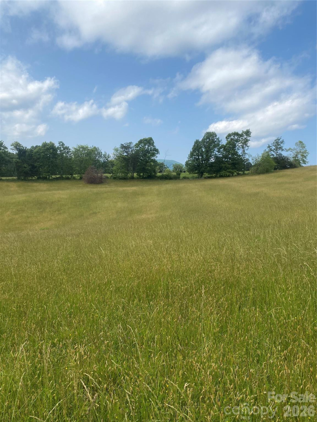 00 Summer Road #20.44 Acres - Photo 14