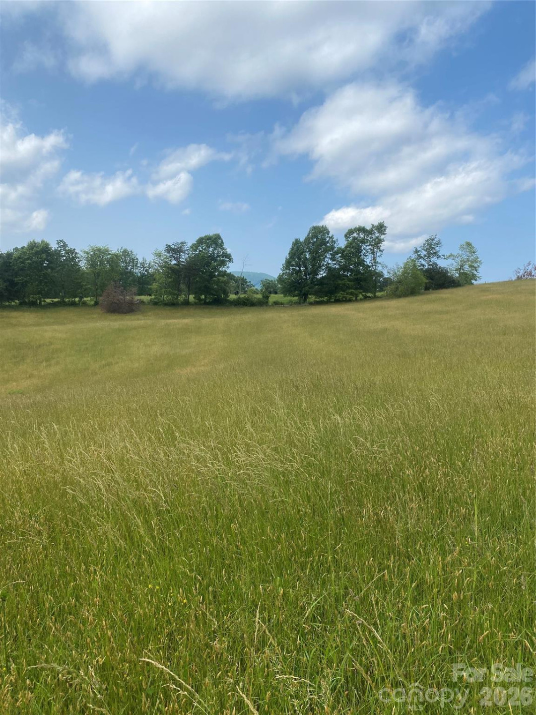 00 Summer Road #20.44 Acres - Photo 15