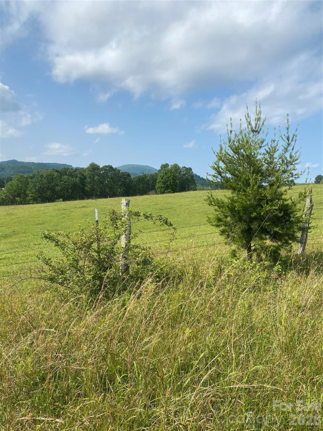 00 Summer Road #20.44 Acres - Photo 16