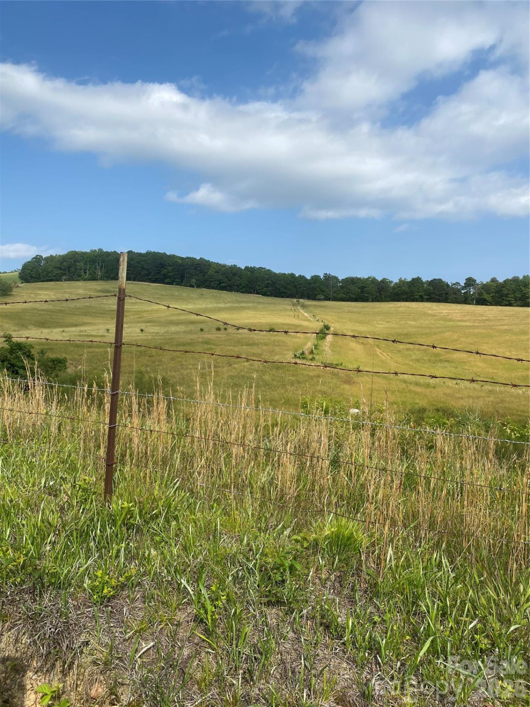 00 Summer Road #20.44 Acres - Photo 17