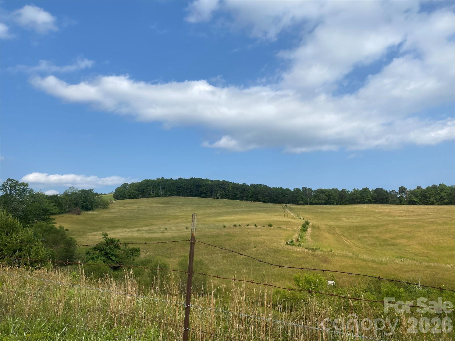 00 Summer Road #20.44 Acres - Photo 18
